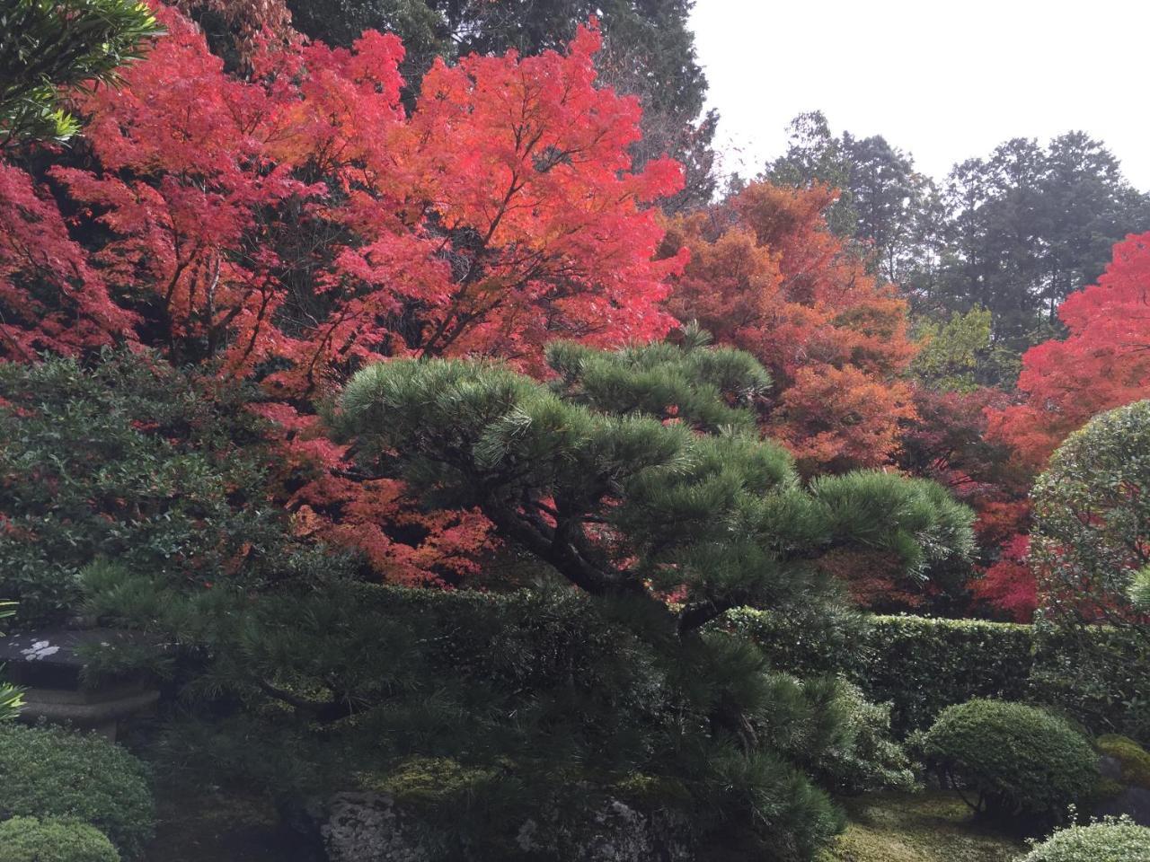 Ryokan Yamazaki Kyoto Buitenkant foto